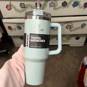 Stanley Tumbler Limited edition Spearmint Pearlescent Color